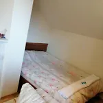 Viki