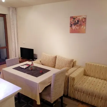 Viki Apartment Pamporovo