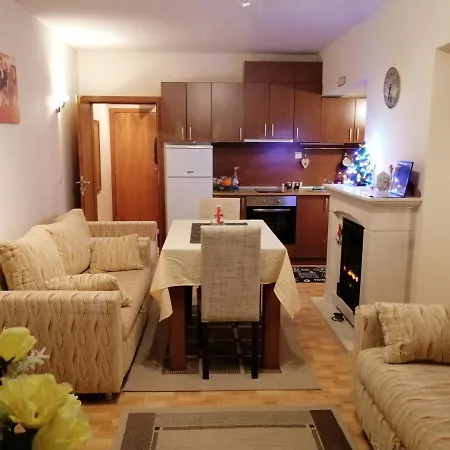 Viki Apartment *