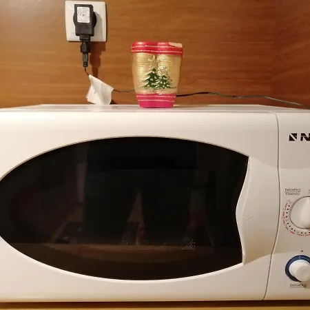 Apartment Viki
