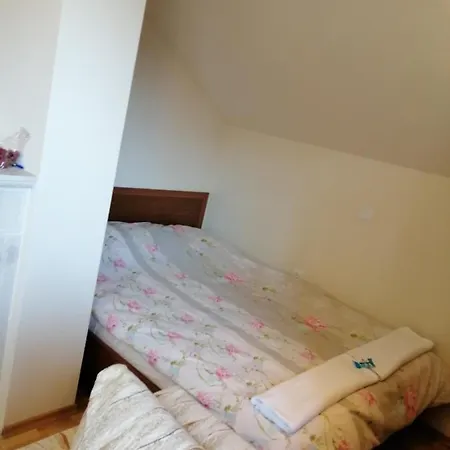 Viki
