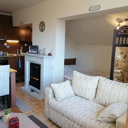 Apartment Viki *