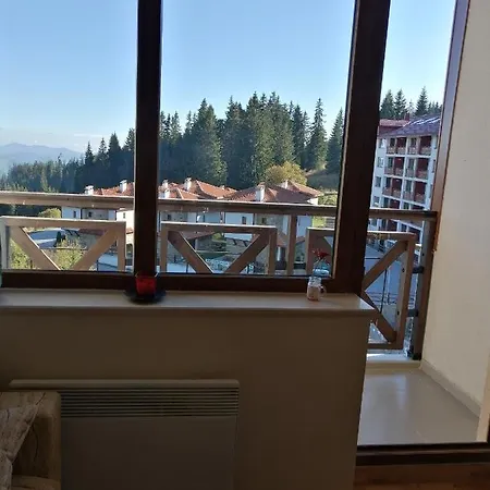 Viki Apartment *